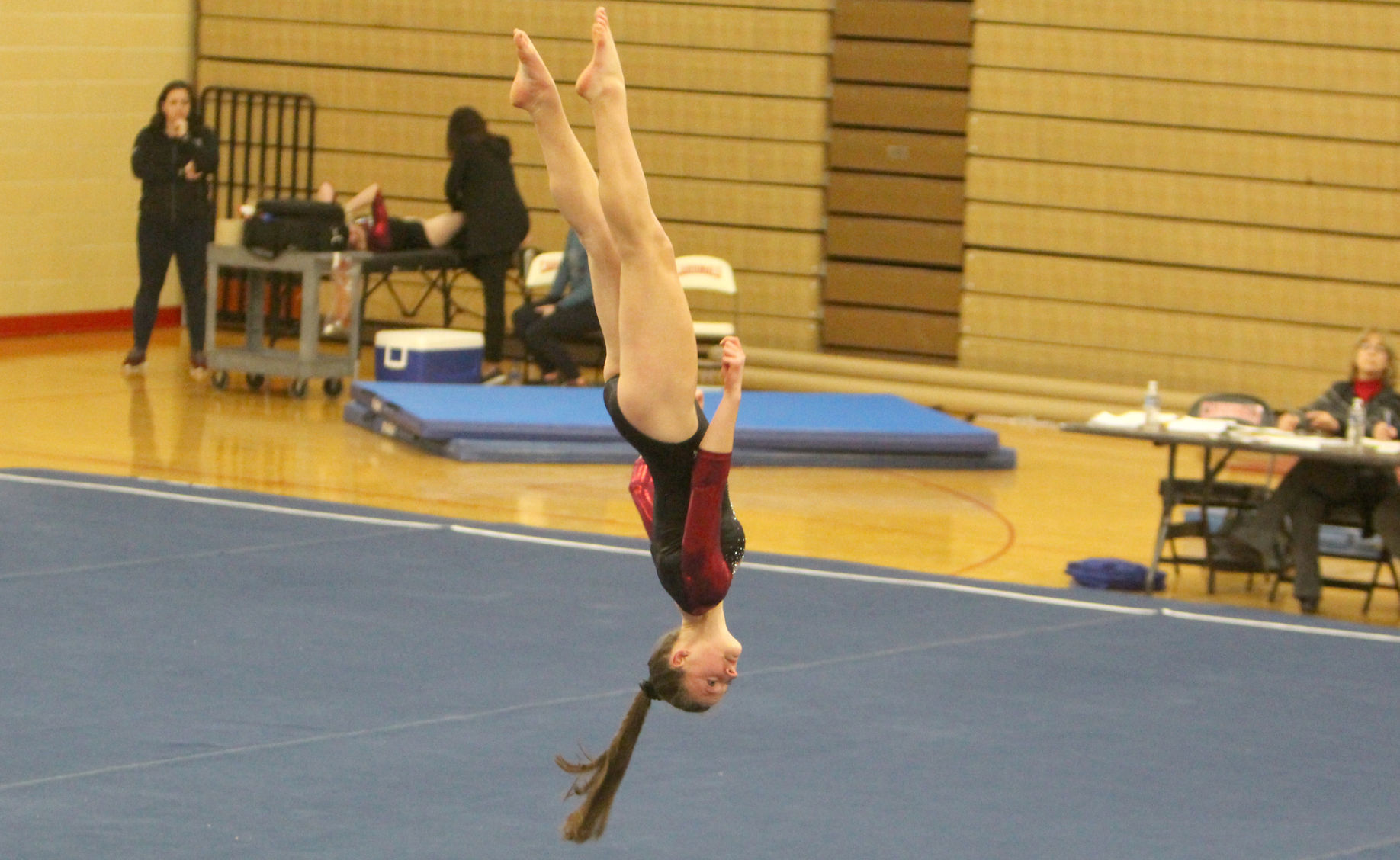 Chi-Hi Gymnastics Triangular 1-17-19